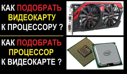 Как проверить совместимость процессора и видеокарты: 4 способа для капитана